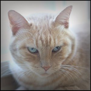 Meet your Posher, Maureen